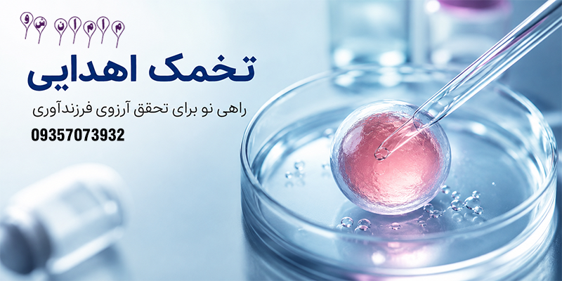 تخمک-اهدایی-چیست؟-راهنمای-کامل